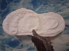 Load image into Gallery viewer, 1967 Bigfoot print Patty #3 Midtarsal Break Found by Bob Titmus 1967