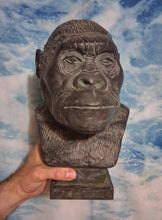 Laden Sie das Bild in den Galerie-Viewer, Australopithecus Bust replica cast