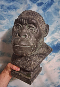 Australopithecus Bust replica cast