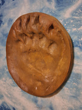 画像をギャラリービューアに読み込む, Grizzly Track #3B (Brown) MC Paw Print Grizzly Track B W Shull 10.75&quot; Diam Rare Plaster Bear footprint track cast replica