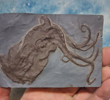 画像をギャラリービューアに読み込む, Octopus: Proteroctopus ribeti, fossil octopus cast replica 