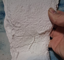 Load image into Gallery viewer, Clearance / Damaged Bigfoot Patterson "Patty #2" track footprint cast
