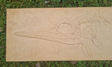 Load image into Gallery viewer, Ichtyosaur skeleton Stenopterygius Fossil Cast 42 inches long replica (TMF ICHTY 3)