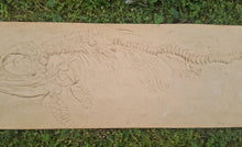 Load image into Gallery viewer, Ichtyosaur skeleton Stenopterygius Fossil Cast 42 inches long replica (TMF ICHTY 3)