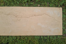 Load image into Gallery viewer, Ichtyosaur skeleton Stenopterygius Fossil Cast 42 inches long replica (TMF ICHTY 3)
