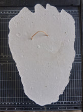 画像をギャラリービューアに読み込む, Bear: Adult Grizzly Bear footprint cast replica Alaska #1