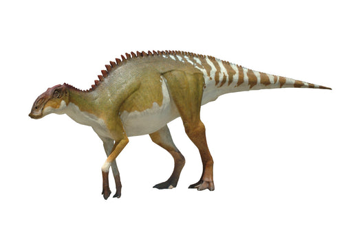 Stunning Hadrosaur sculpture 27'  #Hadrosaur #Dinosaur #Fossils #art