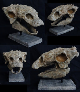 Rent a Dinosaur Exhibit!
