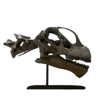 Load image into Gallery viewer, Rent a Dinosaur Exhibit!