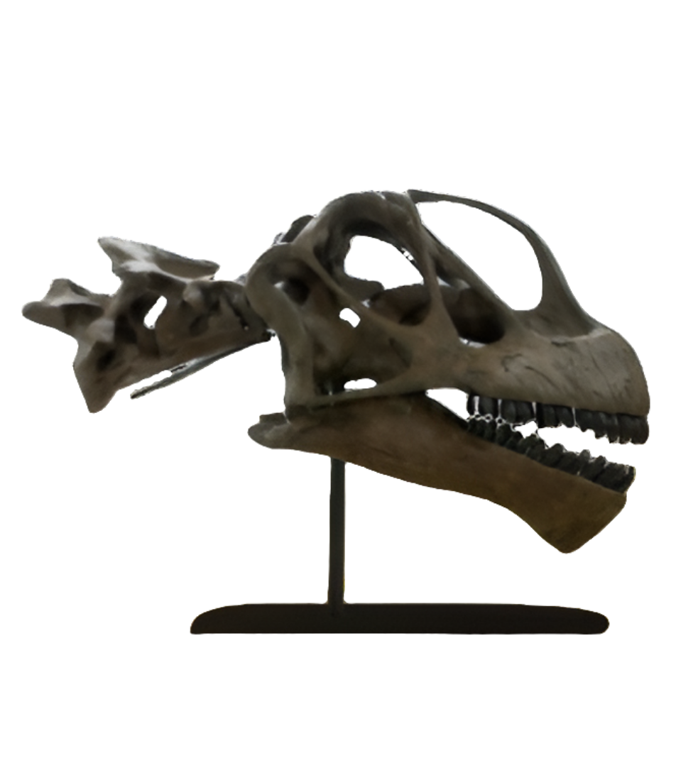 Rent a Dinosaur Exhibit!