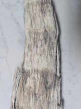 Laden Sie das Bild in den Galerie-Viewer, Fossil Woolly Rhino horn Authentic Coelodonta antiquitatis horn