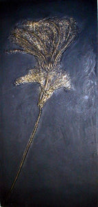 Crinoids: Pentacrinus subangularis, crinoid, #581 cast replica
