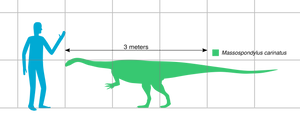 Massospondylus carinatus Skull Fossil Cast