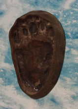 Cargar imagen en el visor de la galería, Bear: Footprint Adult Black Bear Inverse Footprint cast replica