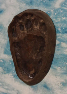 Bear: Footprint Adult Black Bear Inverse Footprint cast replica