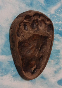 Bear: Footprint Adult Black Bear Inverse Footprint cast replica