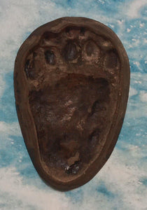 Bear: Footprint Adult Black Bear Inverse Footprint cast replica