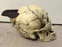 Load image into Gallery viewer, Spanish Conquistador Human Skull with Broad Ax Trauma Human skull Ax cast replica