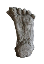 Load image into Gallery viewer, 1990 Bigfoot Mount Rainier Mt. Rainier Track Cast footprint replica