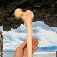 Load image into Gallery viewer, Neanderthal Femur Leg Bone Cast Replica Hominid cast replicas