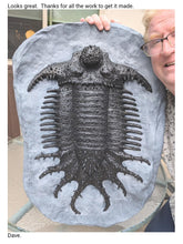 Load image into Gallery viewer, Terataspis grandis (Giant Trilobite) Cast Replica