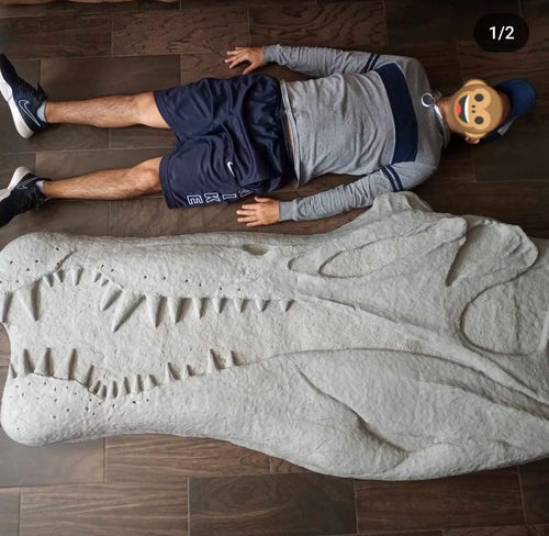 Spinosaurus Skull Plaque cast replica Dinosaur