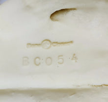 Load image into Gallery viewer, Lion: African Lion Skull Male Bone Clones BC-054 Updated 2025