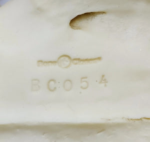 Lion: African Lion Skull Male Bone Clones BC-054 Updated 2025