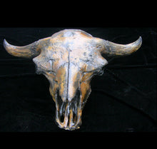 Load image into Gallery viewer, Bison antiquus fossil skull cast replica #3