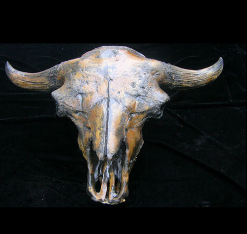 Bison antiquus fossil skull cast replica #3