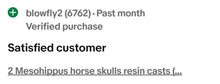 Charger l'image dans la galerie, Eohippus (Hyracotherium) Horse skull cast replica