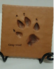 画像をギャラリービューアに読み込む, Wolf: Real Gray Wolf Footprint Cast Replica