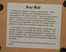 画像をギャラリービューアに読み込む, Wolf: Real Gray Wolf Footprint Cast Replica