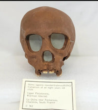 Load image into Gallery viewer, La Quina Neanderthal Child Hominid skull cast replicas