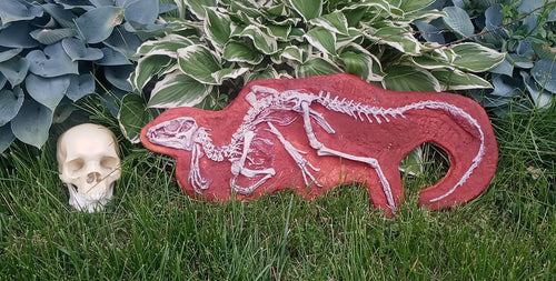 Discounted Heterodontosaurus skeleton cast replica