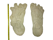 Charger l&#39;image dans la galerie, 1969 Bigfoot &quot;Cripple Foot&quot; cast B