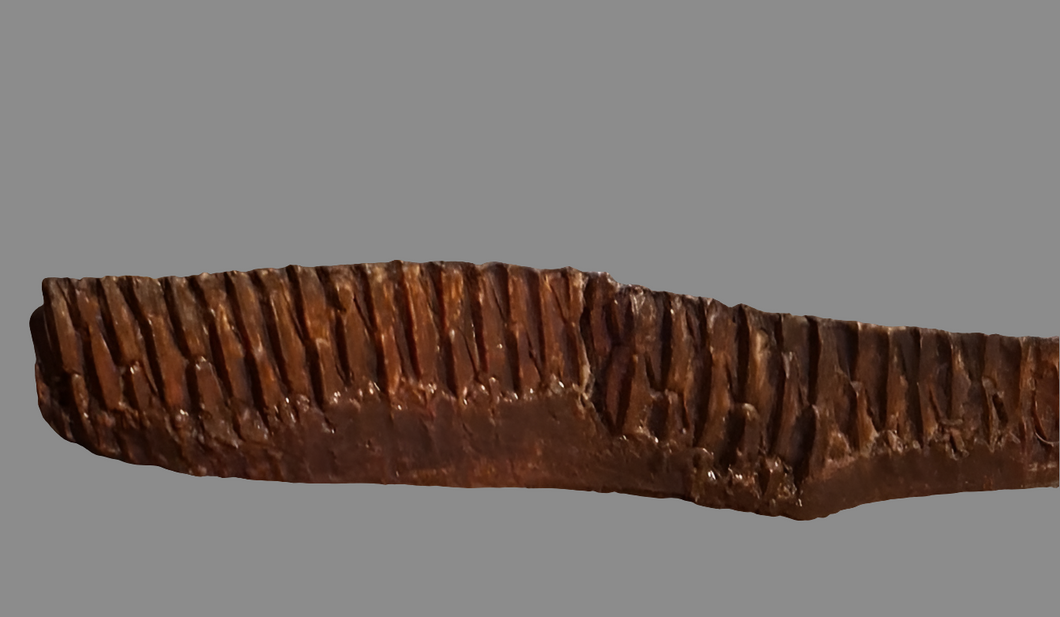 Edmontosaurus Tooth 