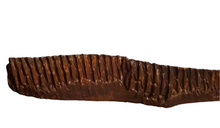 Charger l'image dans la galerie, Edmontosaurus Tooth  "Battery" Teeth. Cast Replica #3 Dinosaur