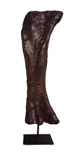 Load image into Gallery viewer, Bellusaurus Femur cast replica dinosaur