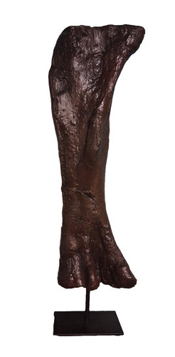 Bellusaurus Femur cast replica dinosaur