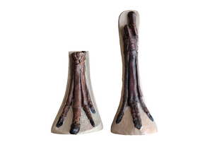 Horse legs and hooves cast replicas (Teaching quality) painted