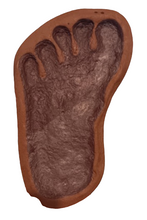 Load image into Gallery viewer, 1983 Bigfoot Grover Krantz LIMITED EDITION TRACK CAST Sasquatch footprint cast