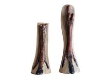 Load image into Gallery viewer, Horse legs and hooves cast replicas (Teaching quality) painted