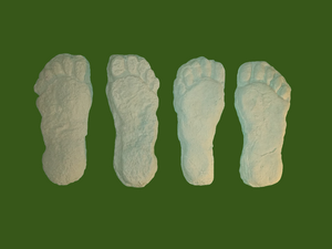 1982 Grays Harbor Hereford Bigfoot print cast "B"