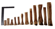 Load image into Gallery viewer, Horse legs and hooves cast replicas (Teaching quality) painted
