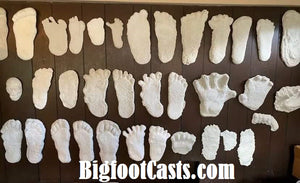 1 Bigfoot Patterson "Patty" track footprint cast Plaster Bigfoot Cast Track Replica