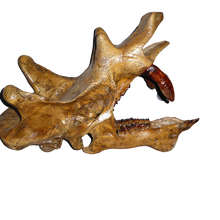 Load image into Gallery viewer, Uintatherium Teeth Cast Replica