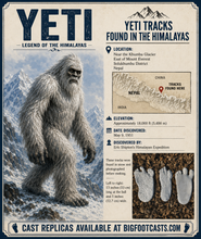 画像をギャラリービューアに読み込む, 1951 Yeti #2 footprint cast replica track