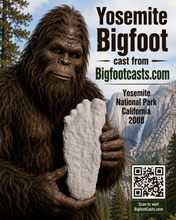 画像をギャラリービューアに読み込む, 2008 Bigfoot print cast from Yosemite National Park 2008 Yosemite Bigfoot cast replica