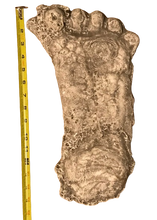 Load image into Gallery viewer, 1990 Bigfoot Mount Rainier Mt. Rainier Track Cast footprint replica